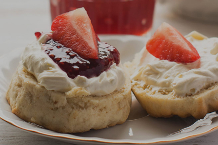 St Gemmas Case Study Listing