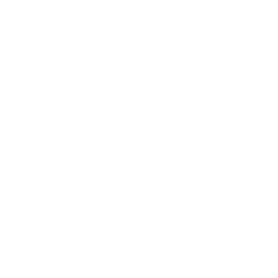 Secura Mobile