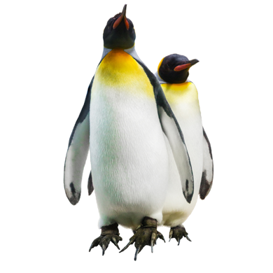 Penguin Mobile