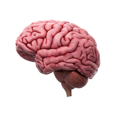 Brain Mobile